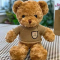 Urso de pelúcia 30cm vestindo suéter